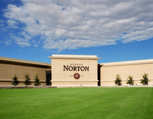 Norton
